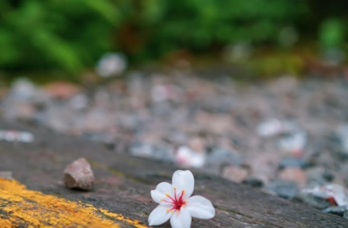 苗栗晚上去哪玩