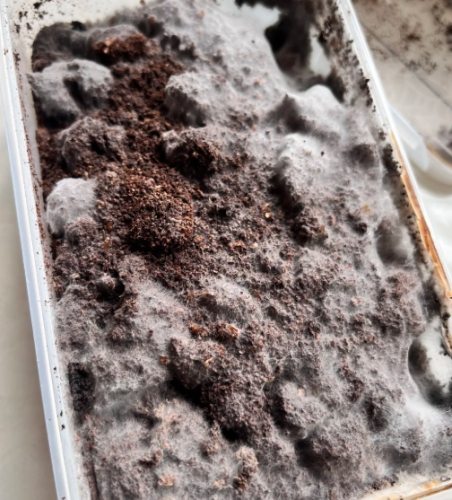 有機肥料製作 有機肥料製作