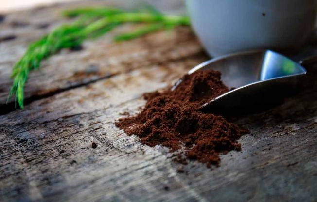 咖啡渣堆肥問題