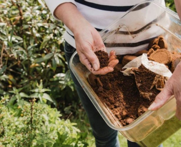 咖啡渣堆肥注意事項