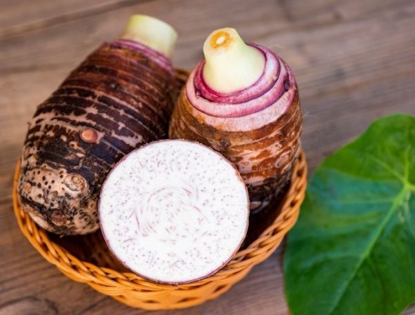 芋頭挑選技巧 芋頭挑選技巧