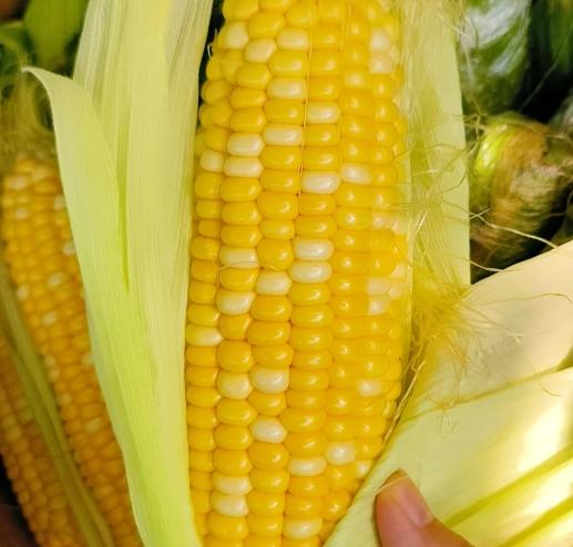 玉米剝皮技巧
