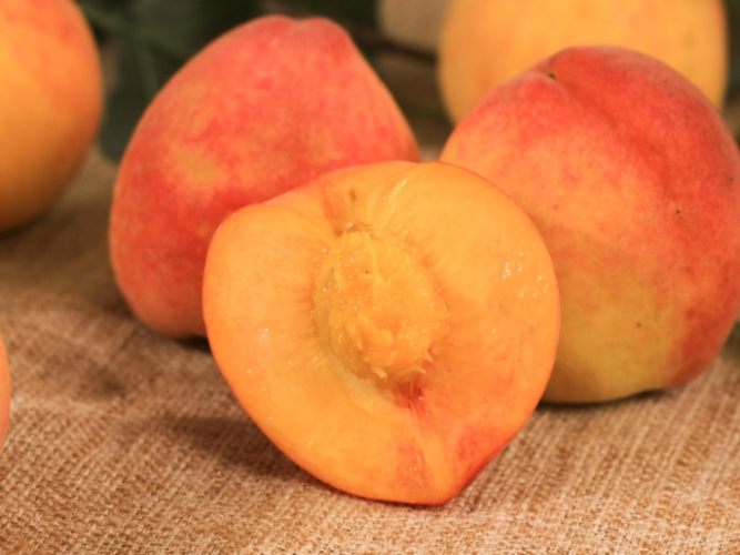 水蜜桃品種比較