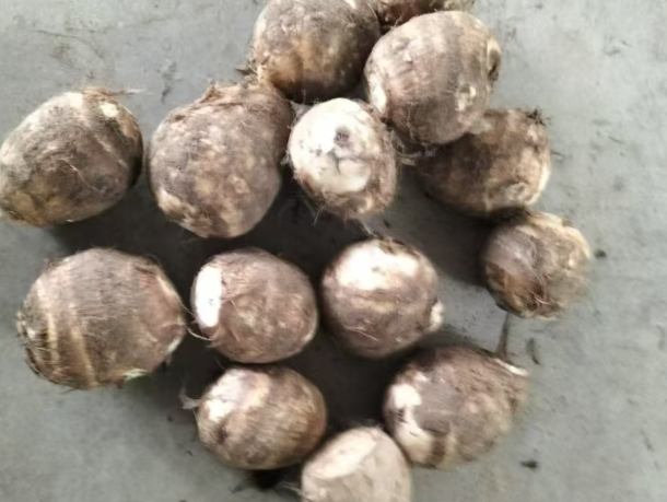 芋頭挑選技巧 芋頭挑選技巧