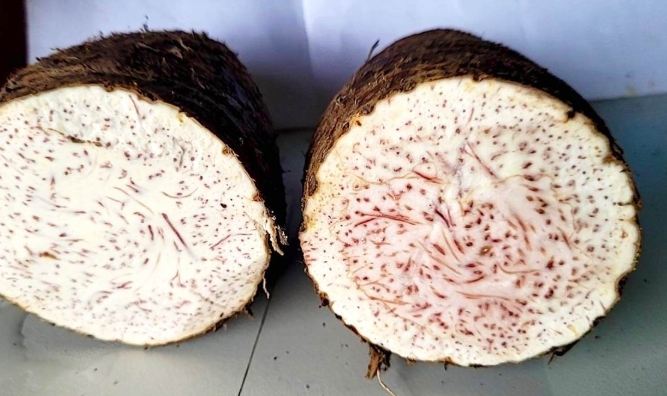 芋頭挑選技巧 芋頭挑選技巧