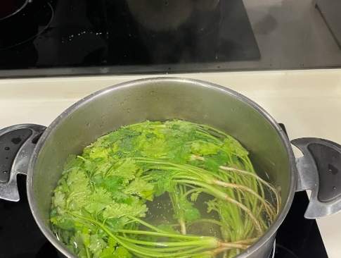 香菜煮水功效