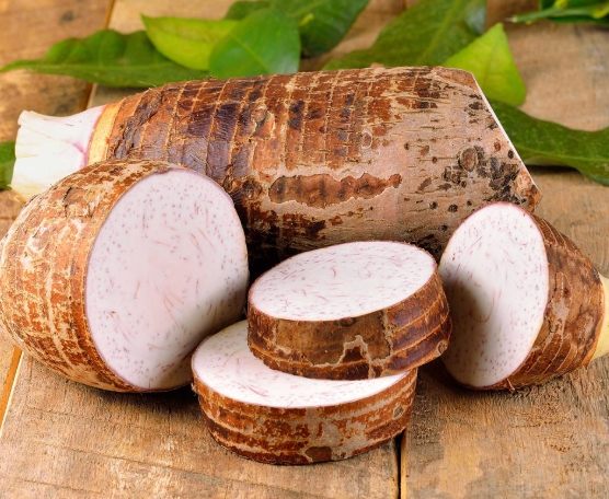 大甲芋頭真假區別