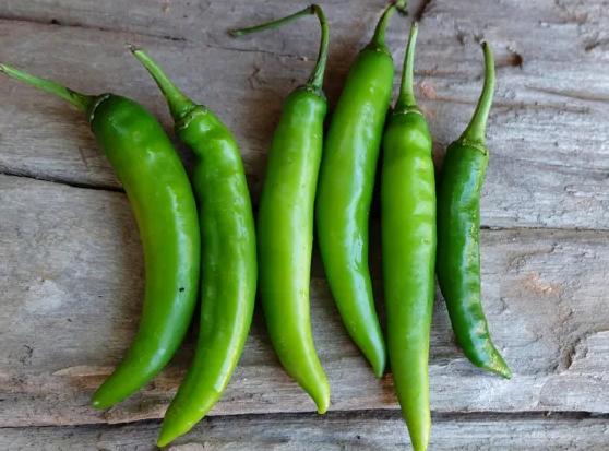 青辣椒