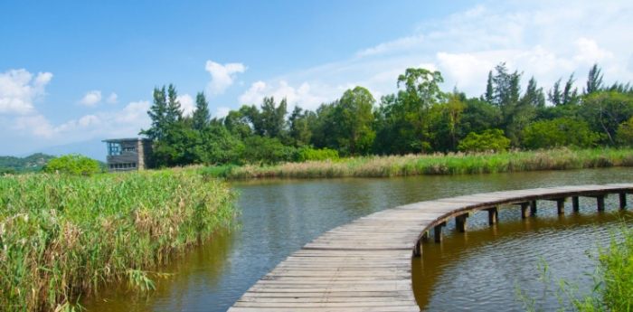 中壢火車站美食