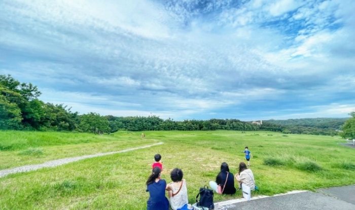 青青草原野餐地點