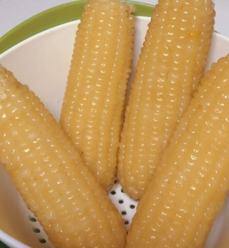 糯米玉米要煮多久