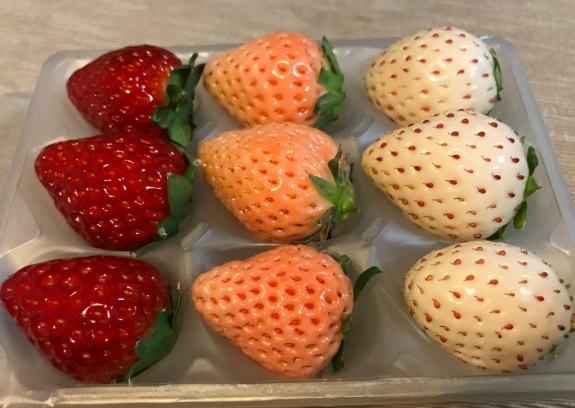 日本草莓品種 日本草莓品種