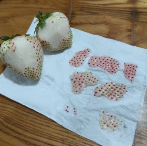 草莓種子提取方法 草莓種子提取方法