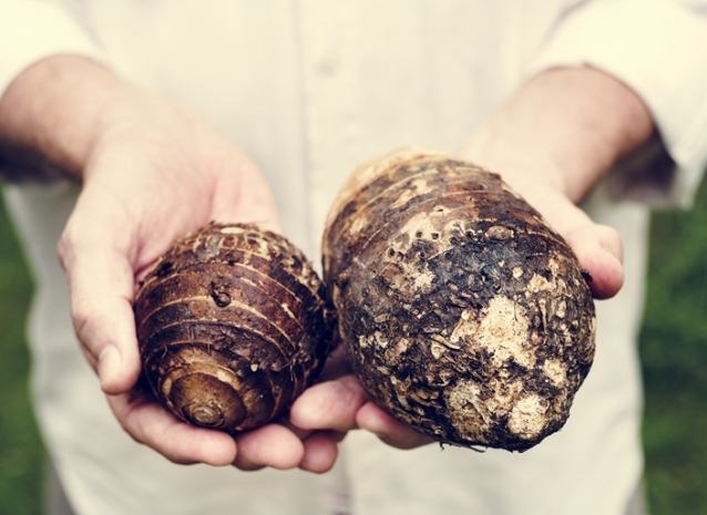 芋頭挑選方法 芋頭挑選方法