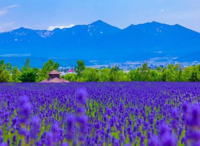 北海道隱藏景點 北海道隱藏景點