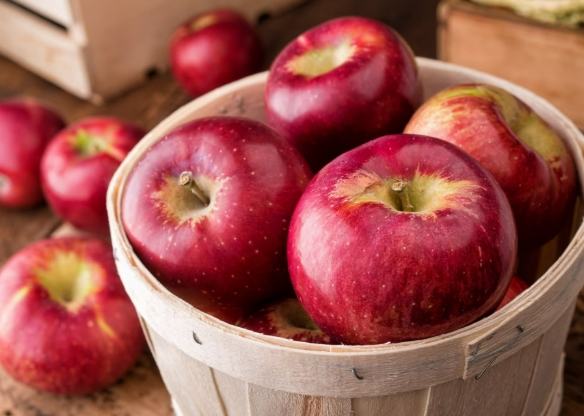 水果熱量排行榜