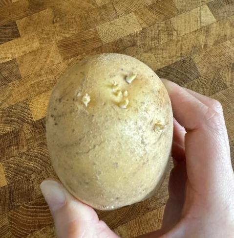 馬鈴薯發芽風險