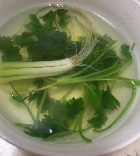 香菜水要煮多久