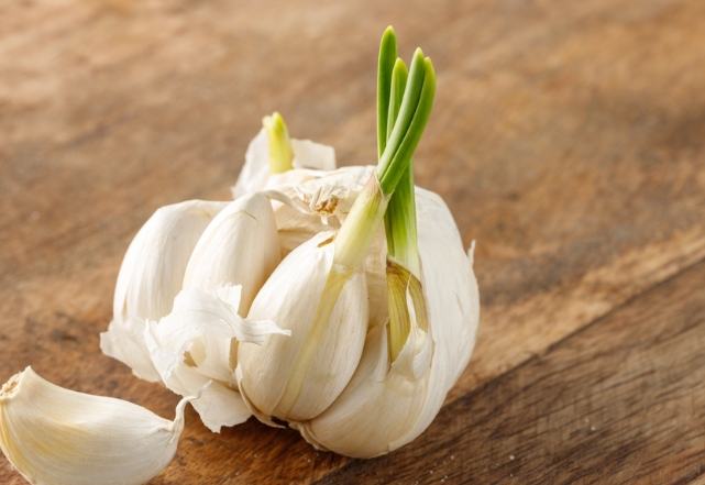 發芽蒜頭食用