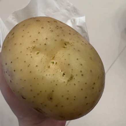 馬鈴薯發芽
