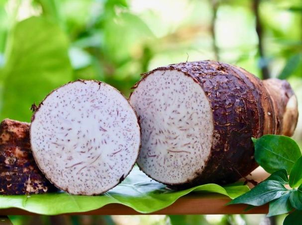 大甲芋頭料理 大甲芋頭料理