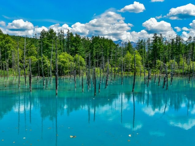 北海道隱藏景點 北海道隱藏景點