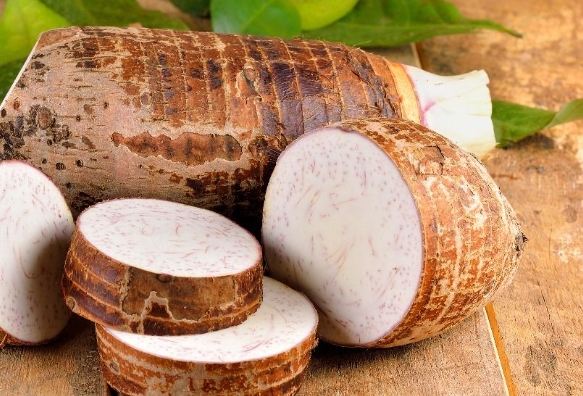 台灣芋頭季節 台灣芋頭季節