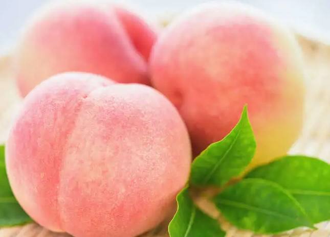 台灣水蜜桃 台灣水蜜桃