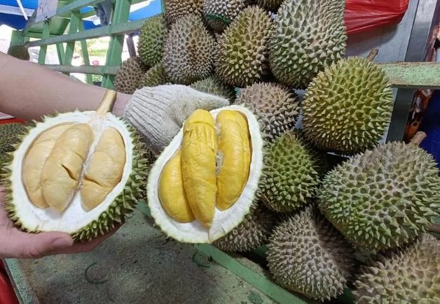 榴槤挑選技巧