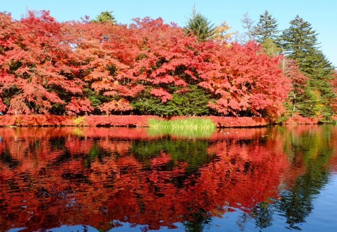 輕井澤旅遊攻略