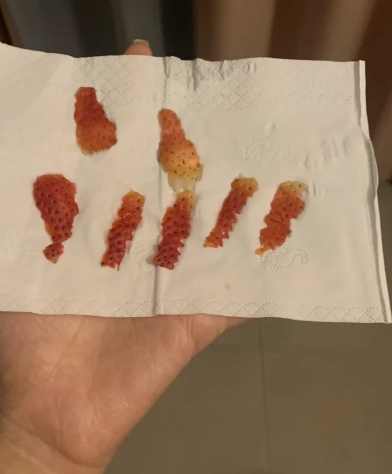 草莓種子提取方法 草莓種子提取方法