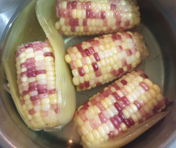 玉米煮法
