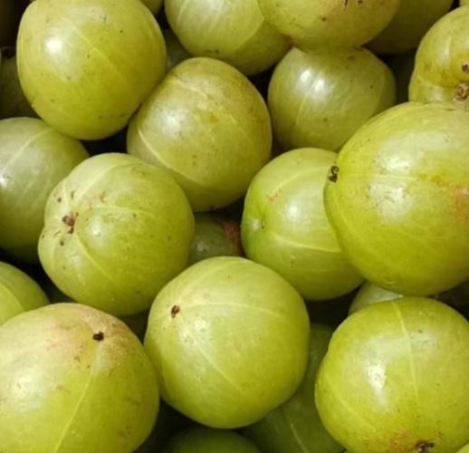 油甘果食用注意