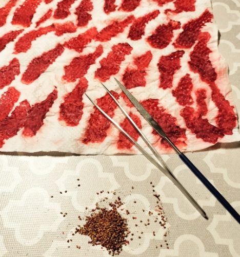 自種草莓技巧 自種草莓技巧