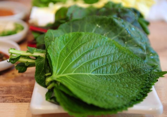 紫蘇葉購買地點