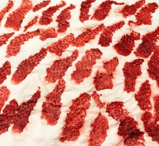 草莓種子提取方法 草莓種子提取方法