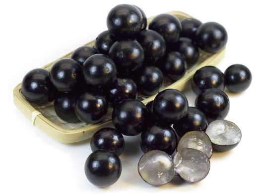 樹葡萄營養 樹葡萄營養