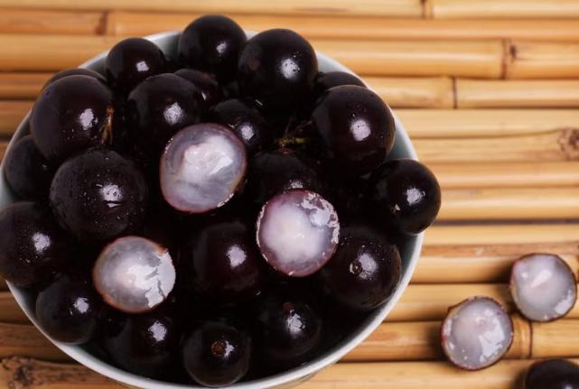 樹葡萄營養 樹葡萄營養