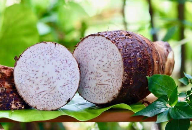 芋頭挑選方法 芋頭挑選方法