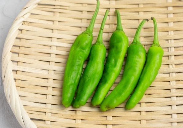 青辣椒品種