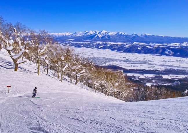 富良野旅遊攻略 富良野旅遊攻略