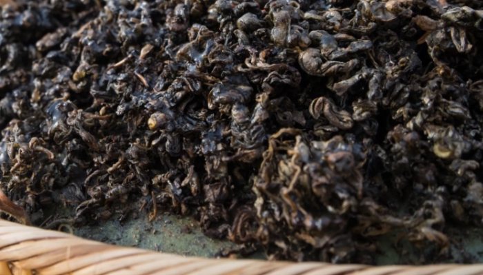 仙草食用安全 仙草食用安全