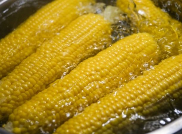煮玉米技巧