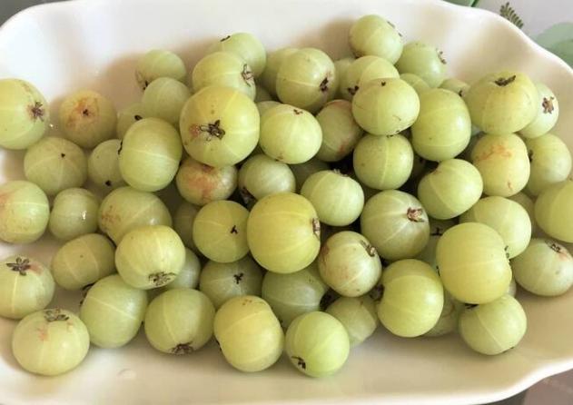 油甘果食用注意