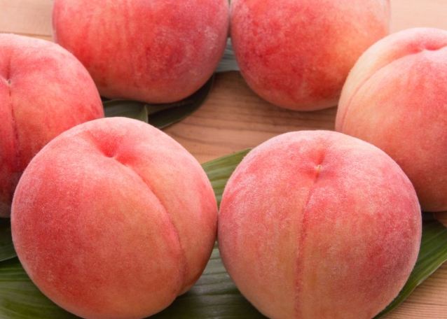 台灣水蜜桃 台灣水蜜桃