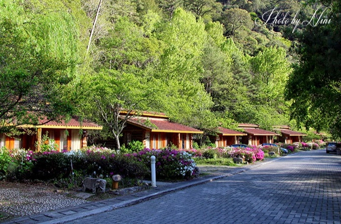 武陵農場房型推薦