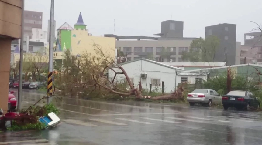 尼伯特風災防災