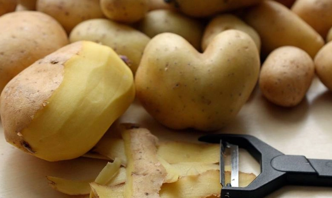 馬鈴薯發芽能吃嗎