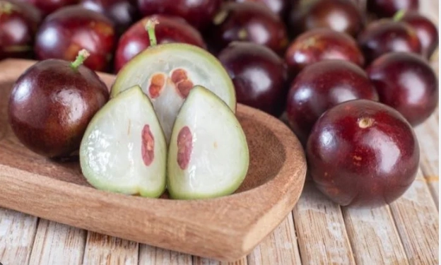 樹葡萄營養價值