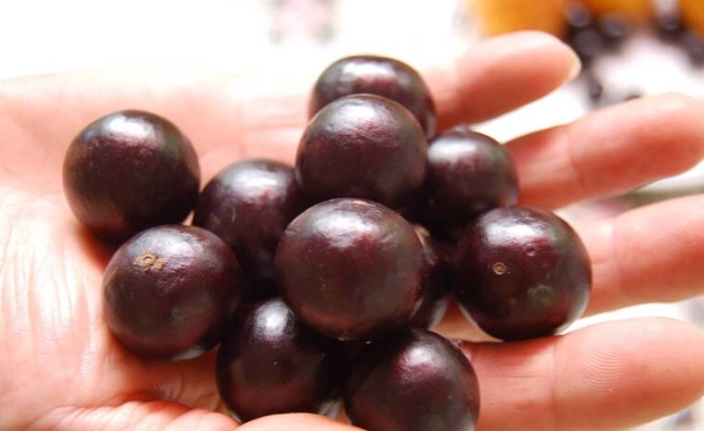 嘉宝果熱量計算